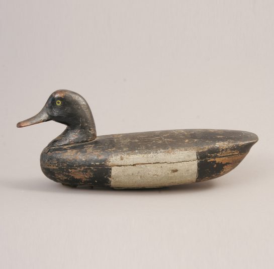 Duck Decoy