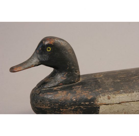 Duck Decoy