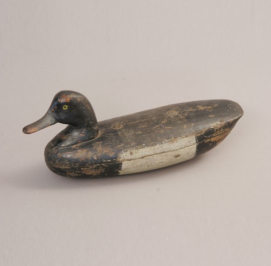 Duck Decoy