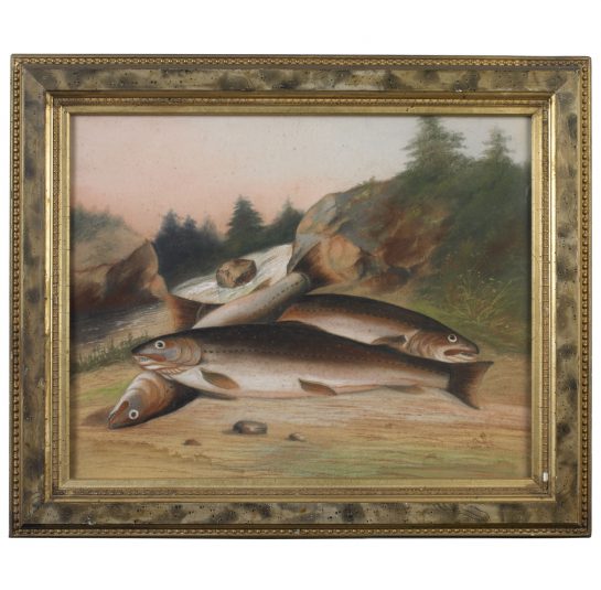 John S. BowerTrout on the River Bank