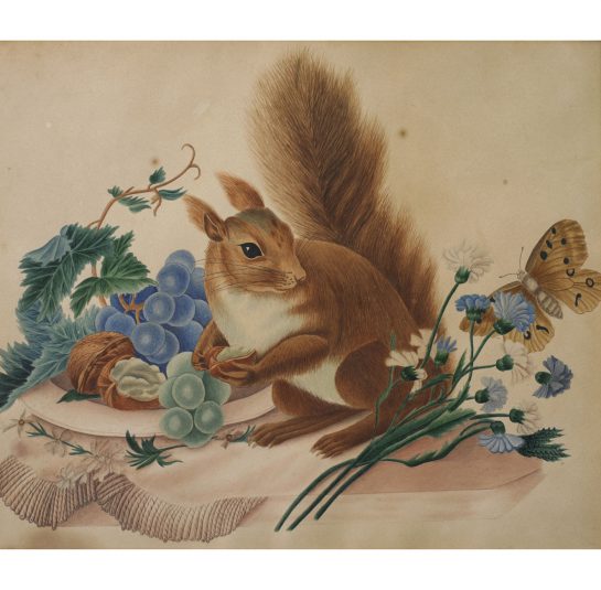 Squirrel with Walnuts, Flowers, Fruit and Butterfly