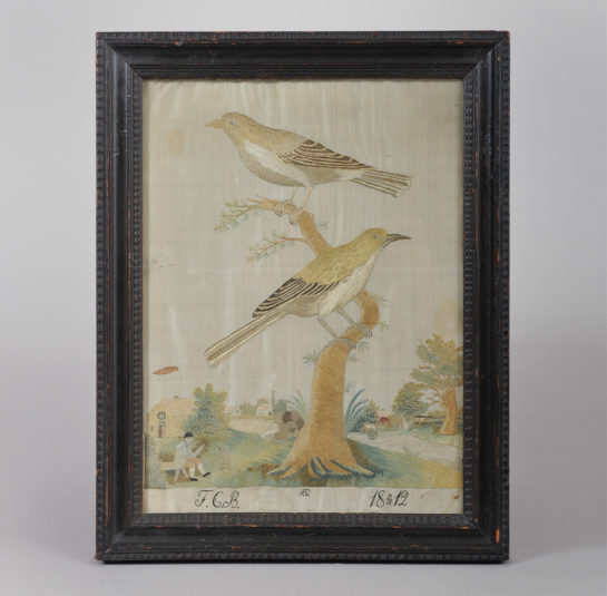 Two Birds Perched on a Tree