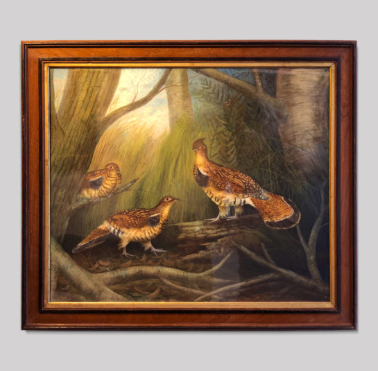 Three Ruffed Grouse