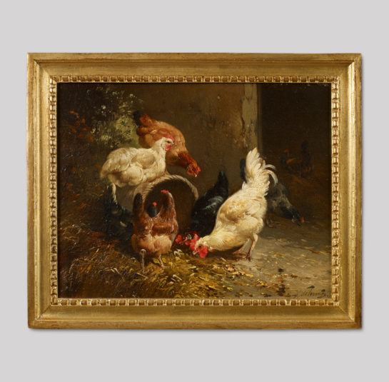 Chickens Feeding