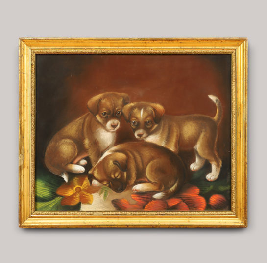 Portrait of Three Puppies