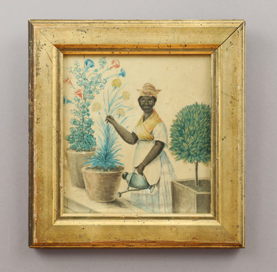 Portrait of an African-American Woman Watering Plants