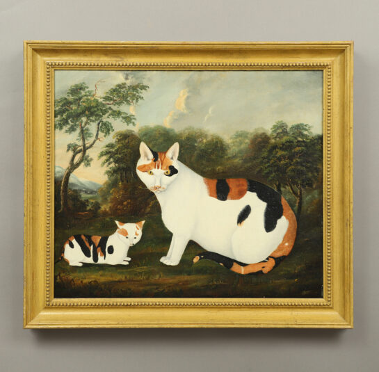 Portrait of Two Calico Cats