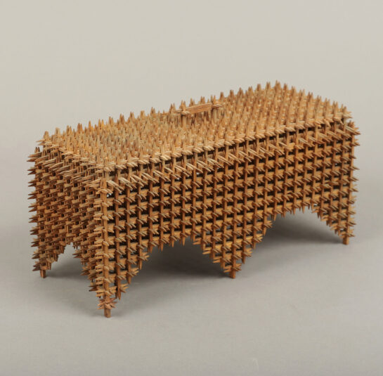 Crown of Thorns Box